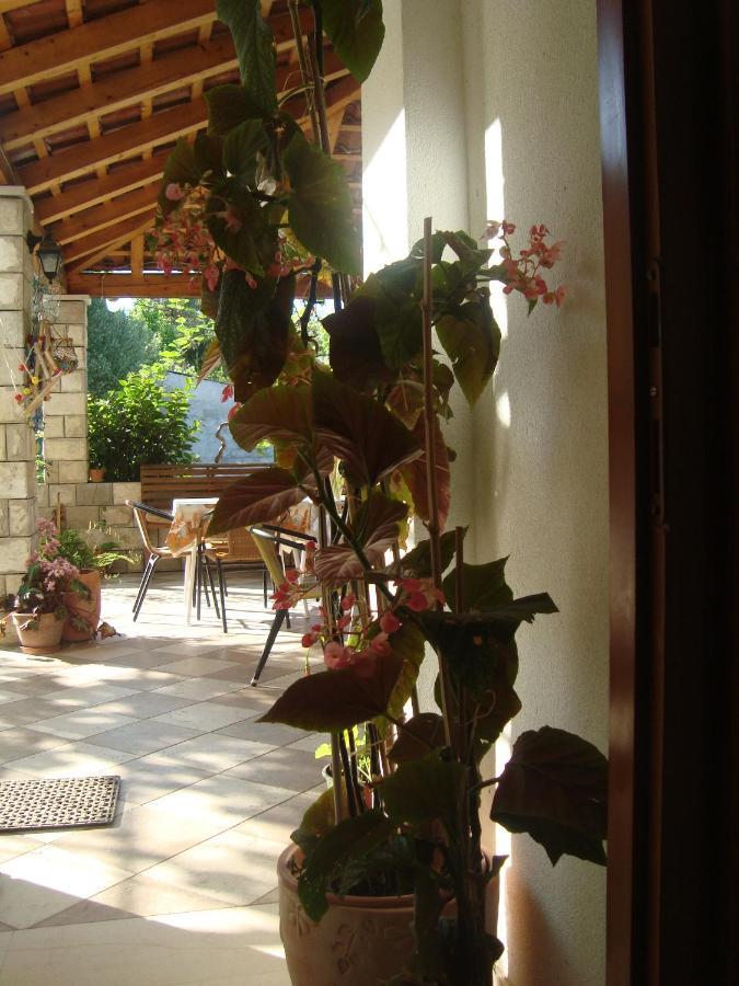 Apartments By The Sea Sladjenovici, Dubrovnik - 11531 Slano Zewnętrze zdjęcie